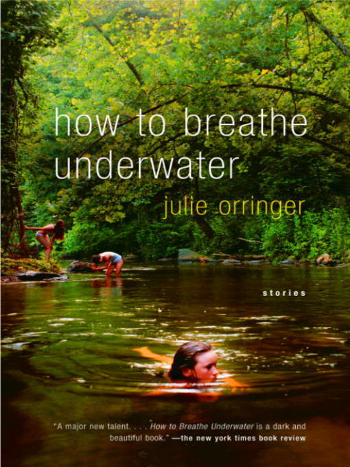 Title details for How to Breathe Underwater by Julie Orringer - Wait list